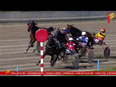 I corsa del 22 febbraio 2023 - 4 Anni - Metri 1600