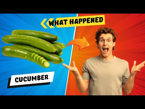 Unlocking The Secrets of Cucumber  A Guide to Its Health Benefits and Body-Enhancing Properties