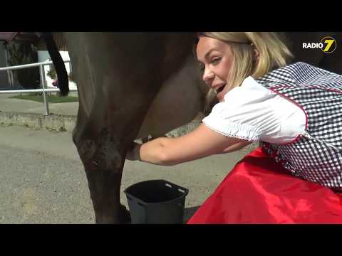 Bring Linda ans Limit - Folge 11