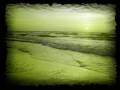 Grinspoon - rising tide