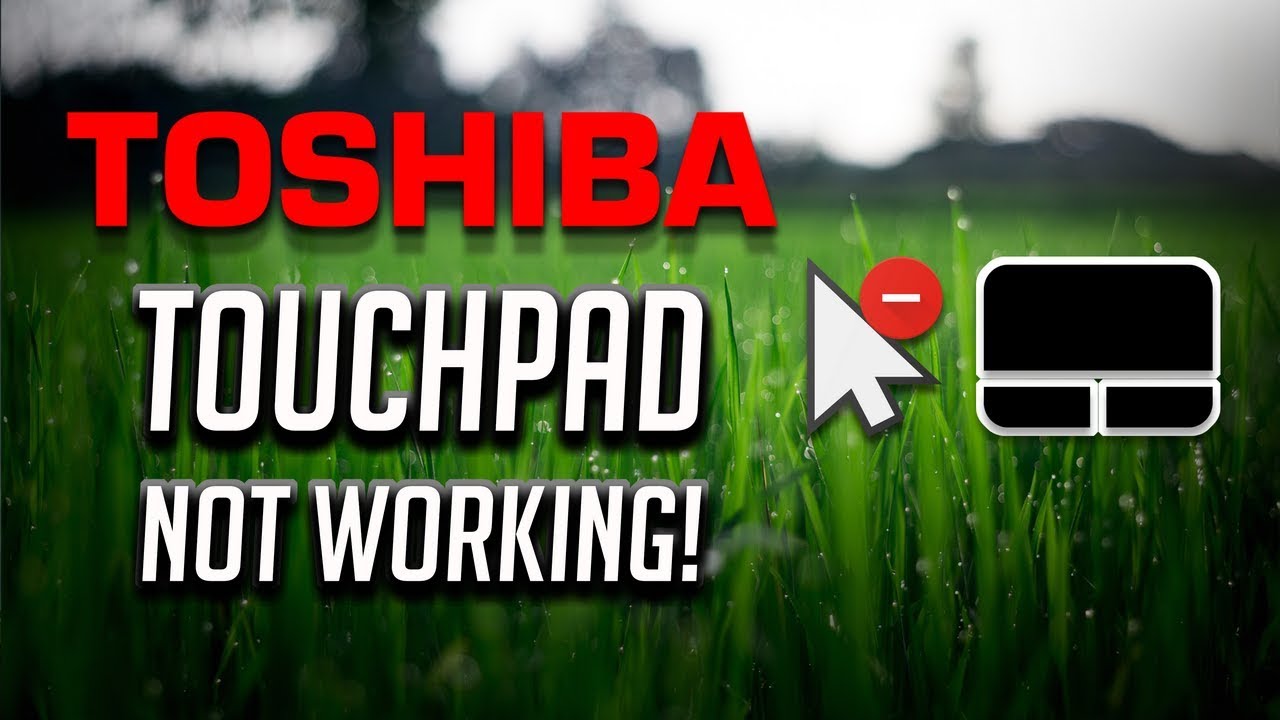 How do I reenable my touchpad on my Toshiba laptop? Tipseri