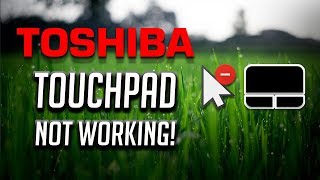 Toshiba Touchpad Not Working in Windows 10/8/7 [2024 Tutorial]