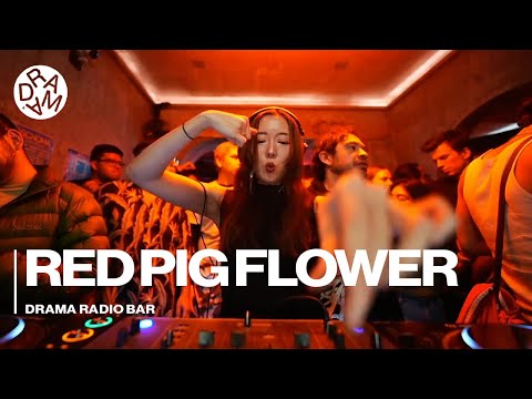 Red Pig Flower ⁨@DramaRadioBar · Nov 15 2025