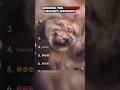 Ranking The Funniest Monkey Moment Part 2