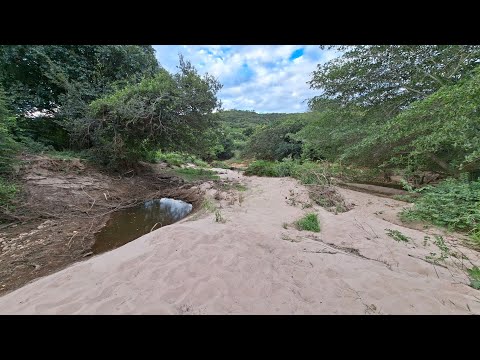 RIO DA CAIXA ESTÁ SENDO TOMADO PELA AREIA MUNICÍPIO DE RIO DO PIRES BAHIA #bahia #nordeste #sertão 