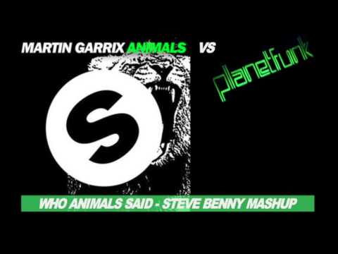 Martin Garrix vs Planet Funk - Who Animals Said Steve Benny Mashup)