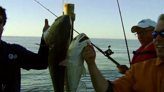 preview picture of video 'Bull Red Fishing in Dauphin Island'