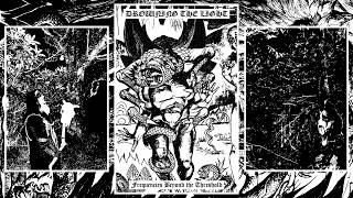 Music video thumbnail preview for Drowning the Light - Frequencies Beyond the Threshold (Full Demo 2026) by Drowning the Light