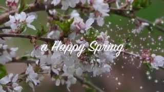 Spring Greetings - Happy Spring!