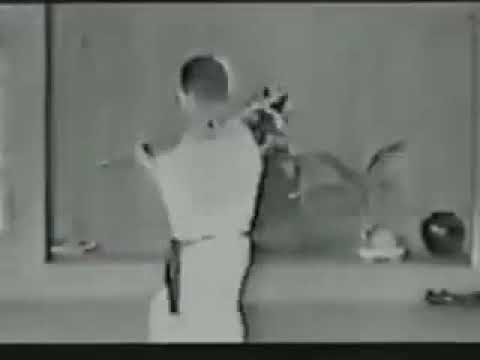 Taira Shinken Nunti Kata