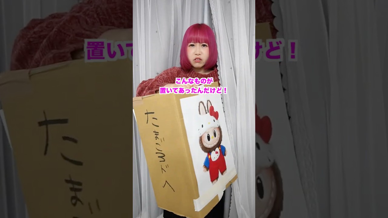 相方がみつけて持ってきたものがまさかすぎた！ #ラブブ #開封 #shorts