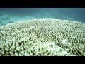 Documentary Nature - Desert Seas