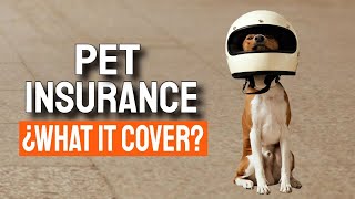 🐶¿WHAT DOES PET INSURANCE COVER?