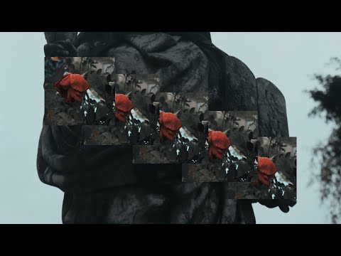 Gabriel Daluz | Nixon $ilva | Hud - Buquês 2