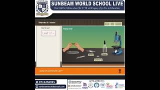 Virtual science lab, experiment done by student of sunbeam world school