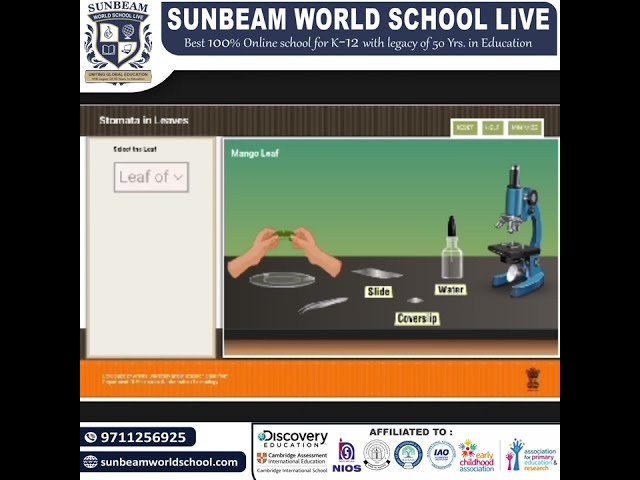 Virtual science lab, experiment done by student of sunbeam world school