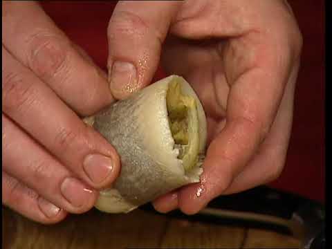 Dr. Russak's Herring in Several Ways