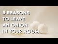 5 Reasons to Leave an Onion in you Room!