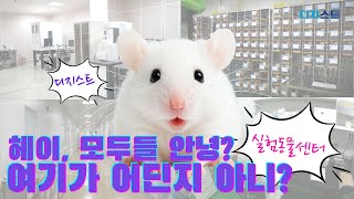 [EN]처음부터 끝까지 ONE STOP SOLUTION, 디지스트 실험동물센터가 있습니다!
