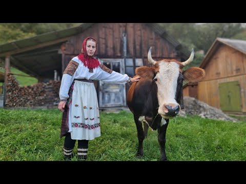 , title : 'THE WOMAN LIVES ALONE IN THE MOUNTAINS! Cooking Traditional Ukrainian Dinner'