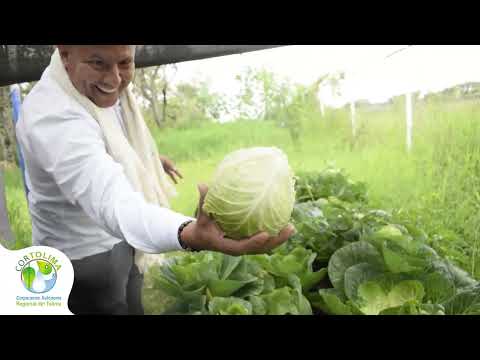 Huertas caseras en Alpujarra