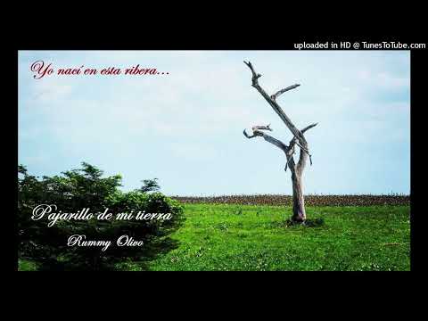Pajarillo de mi tierra - Rummy Olivo.