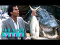 Tubbs Meets Crokett S Pet Alligator Elvis Miami Vice