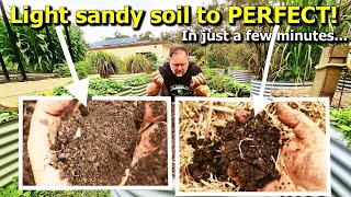 How to Fix Light Sandy Garden Soil in the Vegetable Patch