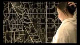 Video Lilium Bestialis