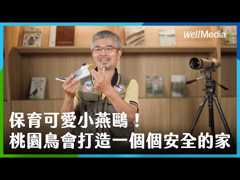 幫助珍貴稀有野生動物鳥類繁殖後代！桃園鳥會為二級保育鳥類小燕鷗 營造一個又一個安全的家【動心時刻】 桃園鳥會理事長 吳豫州 WellMedia