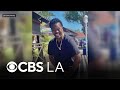 Man Fatally Attacked On Hollywood Walk Of Fame After Violent Dog Attack