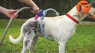 5 Sorprendentes Juguetes Y Accesorios Para Mascotas Que Debes Ver