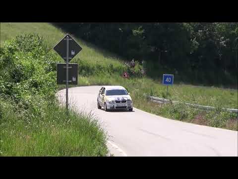 Matija Stojanac / Zeljko Milutinovic - 2. Valjevski rally 2021 - VW Polo 1.4