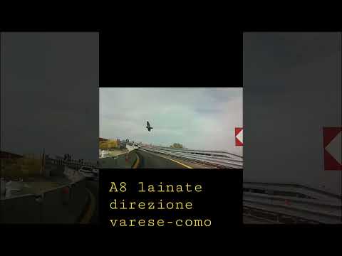 a8 lainate ingresso #autostrada #video #shortvideo #subscribe #vanlife #vanlifestyle #videos