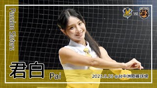 【台湾チア】君白 Pai / Passion Sisters / 2023.9.25 連霸黃潮 + 江坤宇,陳文杰,岳東華 應援曲 [中文歌詞]