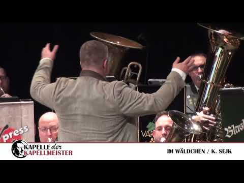 Kapelle der Kapellmeister - Im Wäldchen (Live)