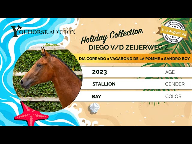 Diego v/d Zeijerweg Z