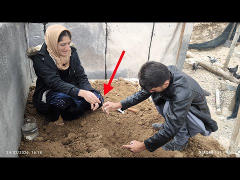 When Farshad planted a tree for Jamileh and his own heart took root! 🌳❤️