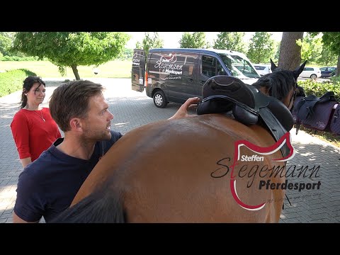 Welcher Sattel ist der richtige für mein Pferd? Stegemann Pferdesport zeigt, worauf es ankommt