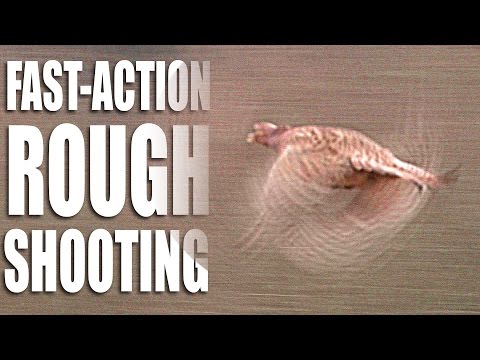 Fast-action rough shooting Fast-action rough shooting