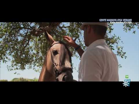 Al Sur del Tiempo | Parque Doñana Huelva (Saca de las yeguas)