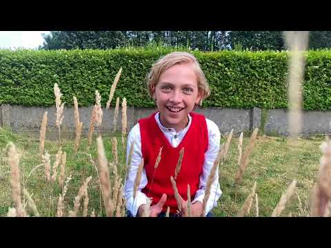 Dolfje Weerwolfje komt in de herfstvakantie naar Stadskanaal!