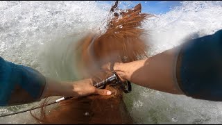 Epic Horse Fail // Dana Glover The Way (Radio Song) cover by Christiana Bohorquez