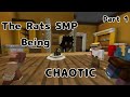 -The Rats SMP Being Chaotic-