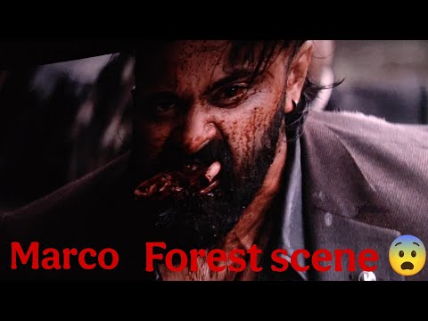 Marco | marco theatre reaction