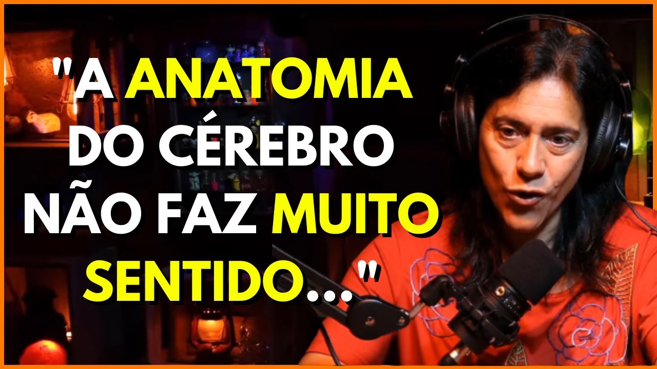 Como o cérebro lida com emoções? - Carla Tieppo | Cortes do Fork Podcast