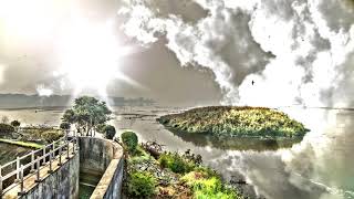 Cartoon - Immortality (Feat. Kristel Aaslaid) - TheBestFreeMusicChannel