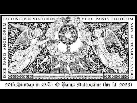 2023 OT 20S O Panis Dulcissime, Holy Rosary Church Kuala Lumpur (hrckl smc)