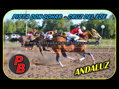 ANDALUZ, PISTA DON SOHAR (22-11-20)
