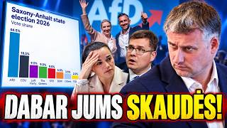 Panika elito sluoksniuose! „SIURBELĖ“, RUSIŠKI GRŪDAI IR AfD TRIUMFAS: dabar jiems skaudės!